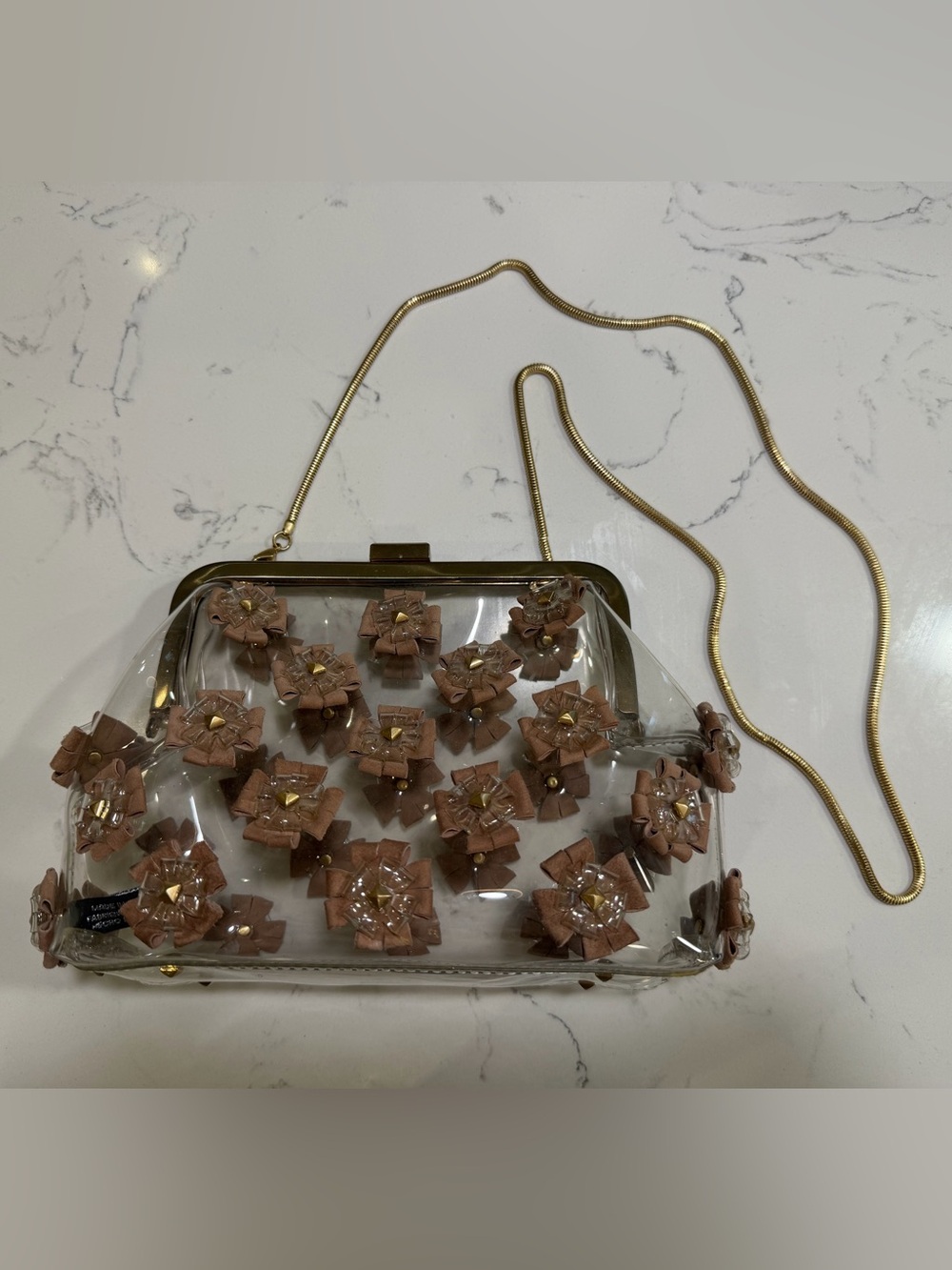 ZAC Zac Posen Clear Mini Crossbody with Brown Flower Appliqués